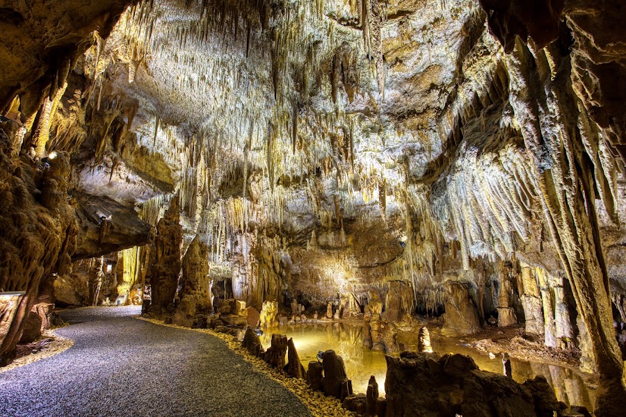 Domme & Grotte de Domme