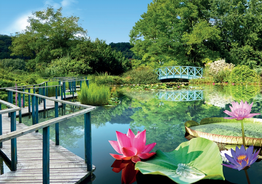 Les Jardins d'Eau (Carsac)